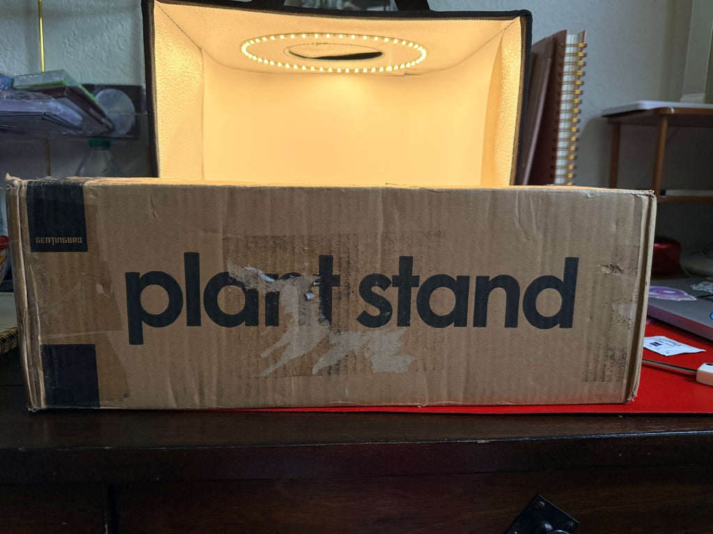 Plant Stand