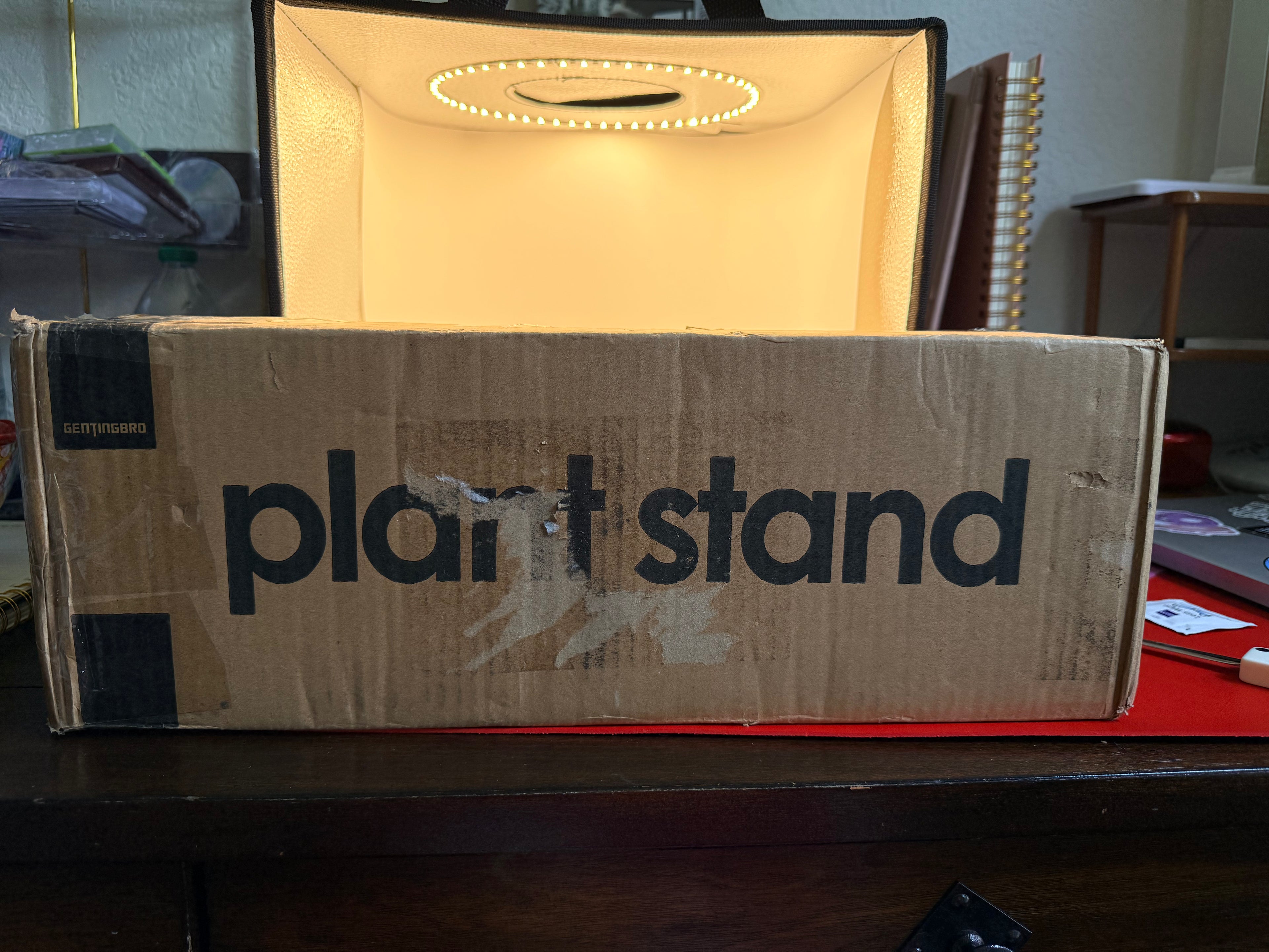 Plant Stand